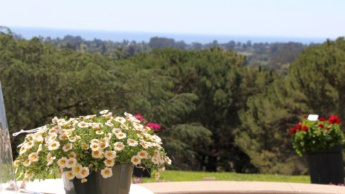 What Is It Like To Attend California Spring Trials?