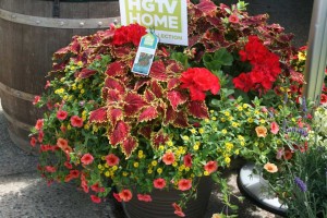 Combo At HGTV