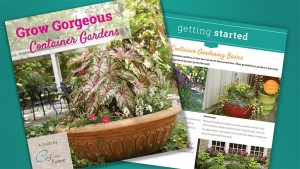 Costa Farms Targets Consumers With New Container Gardening E-Book