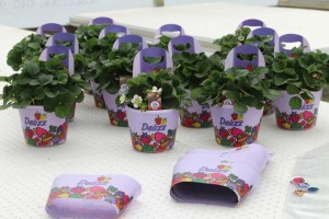 Delizz Strawberry packaging