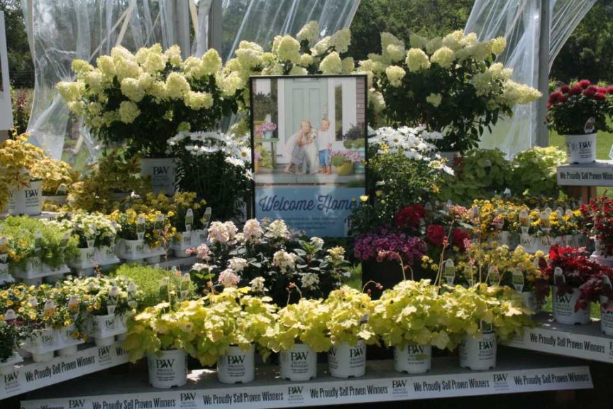 Display Showing Consumers how to Combine Annuals, Perenials and Shrubs