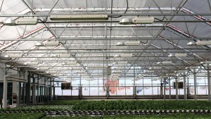 $3 Million in Federal Grants Available for Indoor Ag Producers