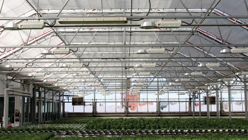 Gotham Greens Growing Fresh Produce in Rocky Mountains