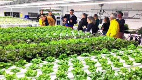 Growers Supply Hosting Two Workshops On Controlled Environment Production