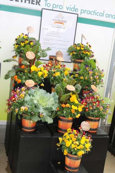 Master Tag Autumn Hues Display