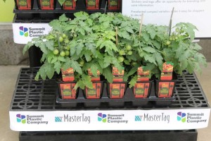 Master Tag Kitchen Garden Display