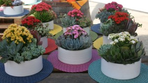 Check Out the Top 5 Most-Read News Stories on GreenhouseGrower.com in 2016!