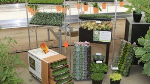 AmericanHort’s Plug And Cutting Conference Will Feature Education, Workshops, And A Tour