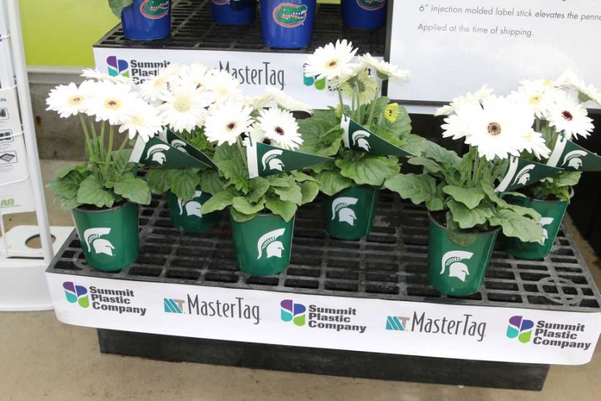 Sporticulture, MSU