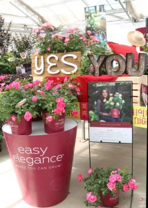 Yes-You display with consumer confessional at Bailey Nursery's First Editions.