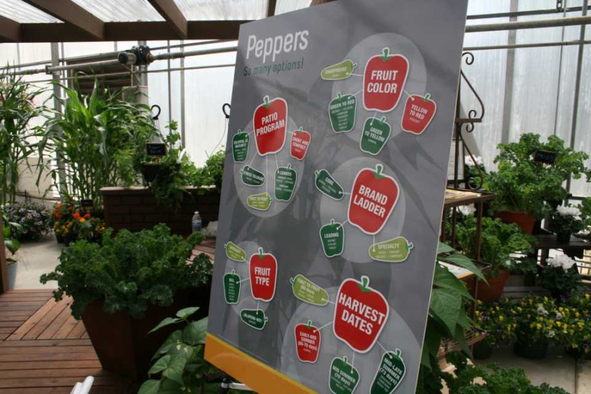 Pepper Chart