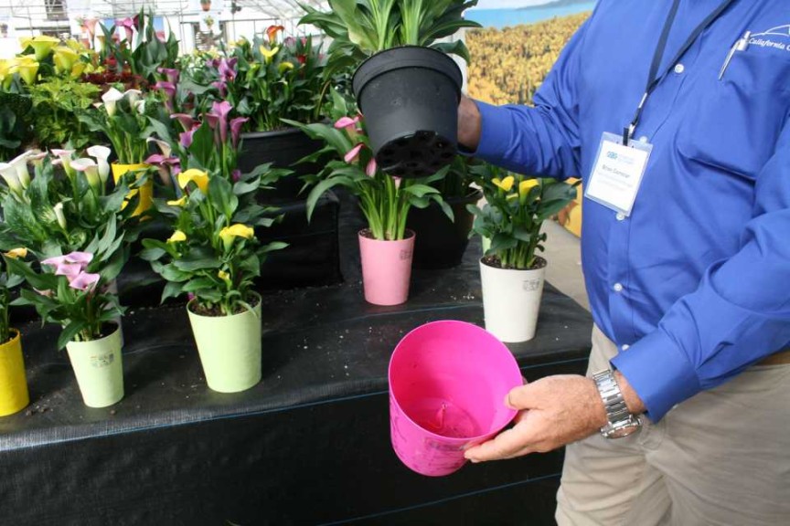 Water Wicking Pot