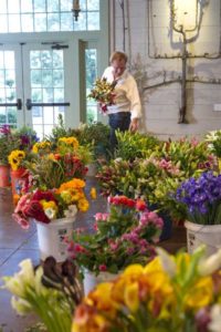 P. Allen Smith Home Grown Cut Flower Collection