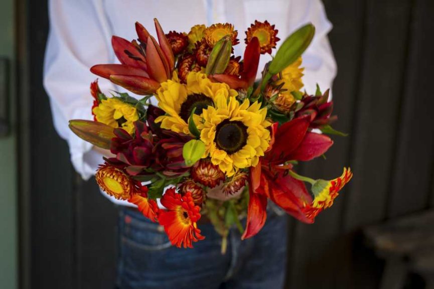 P. Allen Smith Home Grown Cut Flower Collection