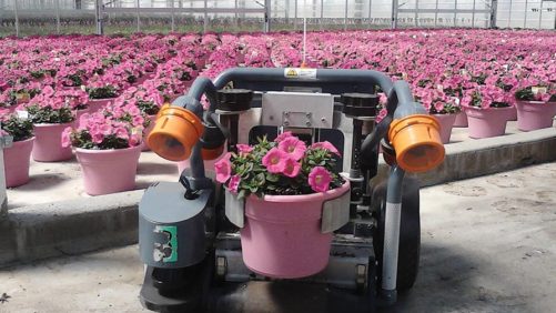 Harvest Automation Robot Helps You Move Plants Without People