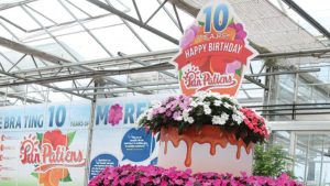 10 Creative Marketing Ideas From 2016 California Spring Trials (Photo Gallery)