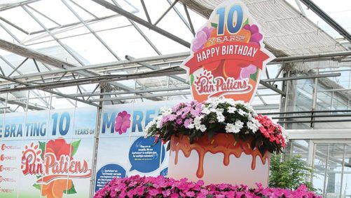 10 Creative Marketing Ideas From 2016 California Spring Trials (Photo Gallery)