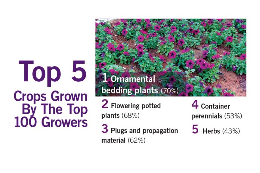Top 100 2016 Top 5 Crops Grown