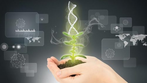 The State Of Plant Breeding In 2016