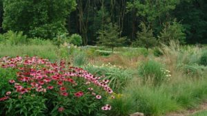 North Creek Nurseries Is A Finalist For 2016 Operation Of The Year