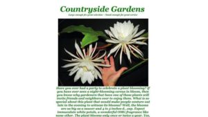 Old Fashioned Marketing Still Works At Countryside Gardens