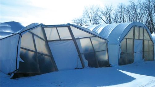 Tips Greenhouse Growers Can Use for Handling the Mid-April Cold Snap