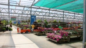 Global Garden Retail Tour Offers One-of-a-Kind Virtual Experience