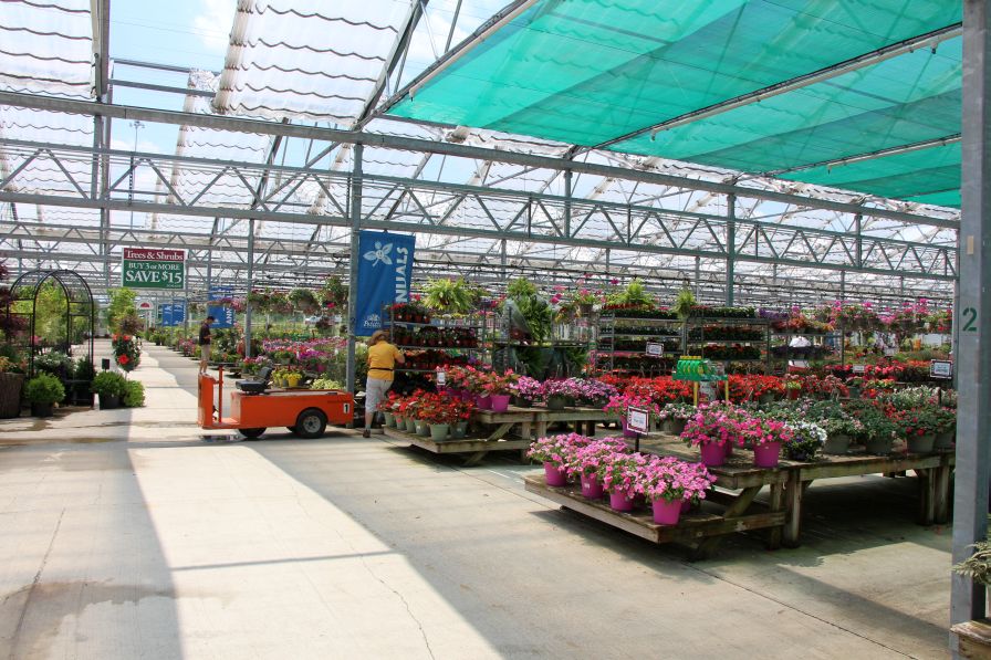 Stocking spring plants at Petitti Garden Center garden retail tour