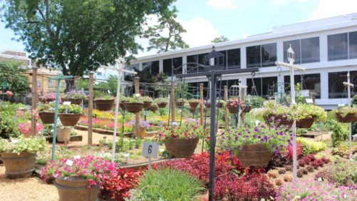 First-Ever Academy Of Crop Production Offers Snapshot Of The Greenhouse Industry’s Future