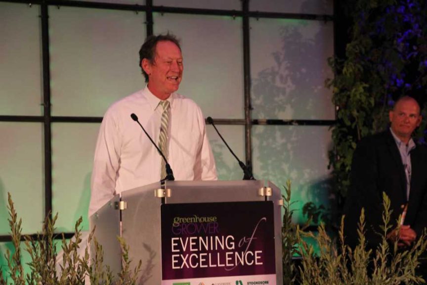 Green Fuse Botanicals won the Editor's Choice award for the Lupines Staircase Series
