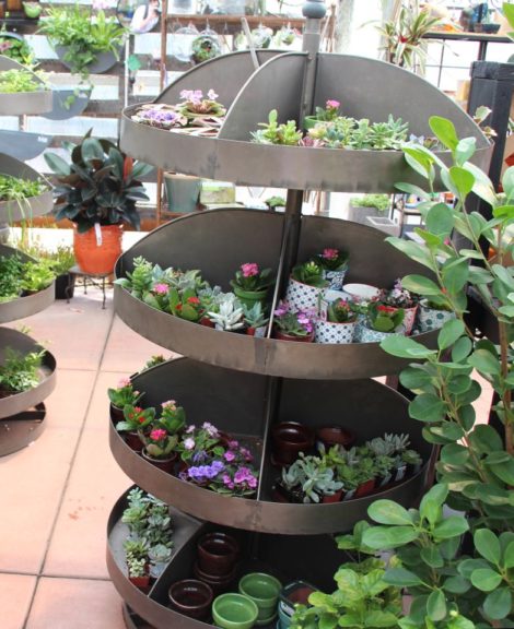 Hardware store bins used for mini plants at Cornell Farms