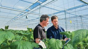 Connected Screening Helps You Control Your Climate