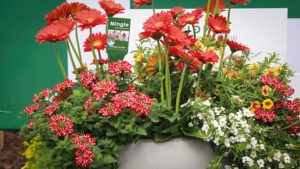Pair New Spring Crops With Fresh Ideas For Increased Sales