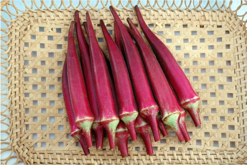 Okra Candle Fire F1