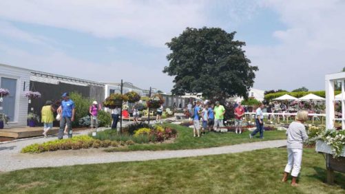 Pleasant View Gardens, D.S. Cole Growers Hosting Open House in August