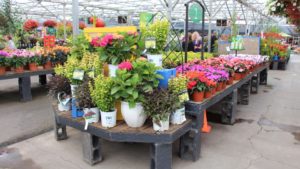 State of the Greenhouse Industry: Customers and Inside Jobs