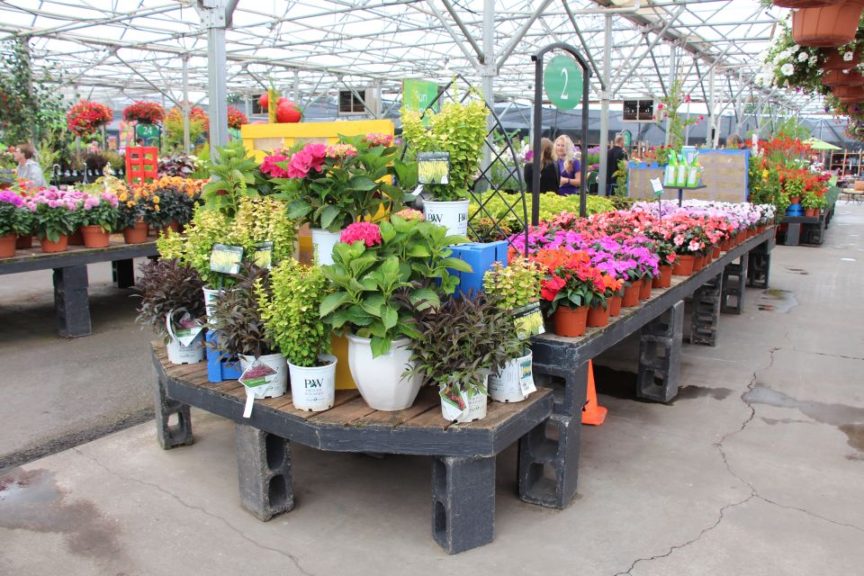 10 Predictions From Growers for the Greenhouse Industry in 2023