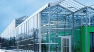 Canadian Greenhouse Conference Features Focus on Technology