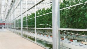 Greenhouse Technology Investment in Action in Canada