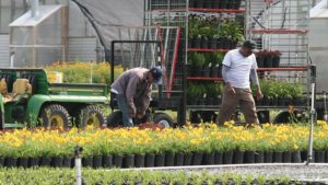 Three Greenhouse Business Concerns That Should Be on Your Radar (Editorial)