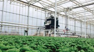 Be Sure to Register for AmericanHort’s Production Technology Conference