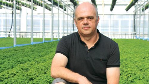 Award-Winning Greenhouse Growers Offer Labor-Saving Solutions