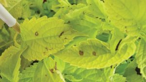 Crop Protection Manufacturers Detail 2017 Early Order Discounts