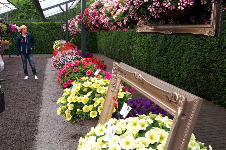 New Varieties