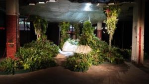 John Mini Distinctive Landscapes Takes Home Plantscape Of The Year Diamond Award