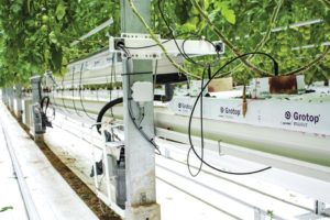ProDrain (HortiMax)