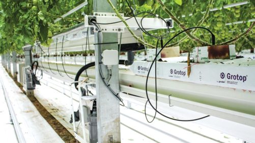 New Irrigation Technology Helps You Maximize Your Water Use