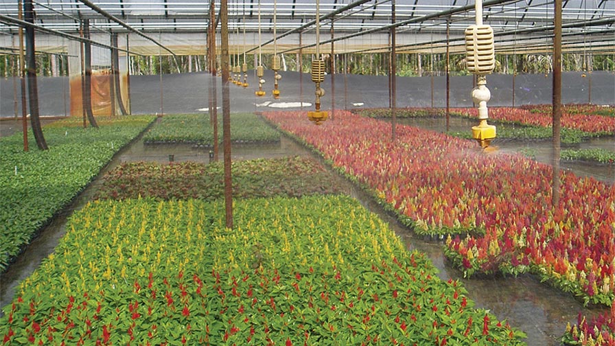 SpinNet Sprinkler (Netafim)