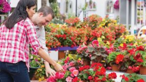 Three Horticulture Marketing Challenges, and How to Overcome Them