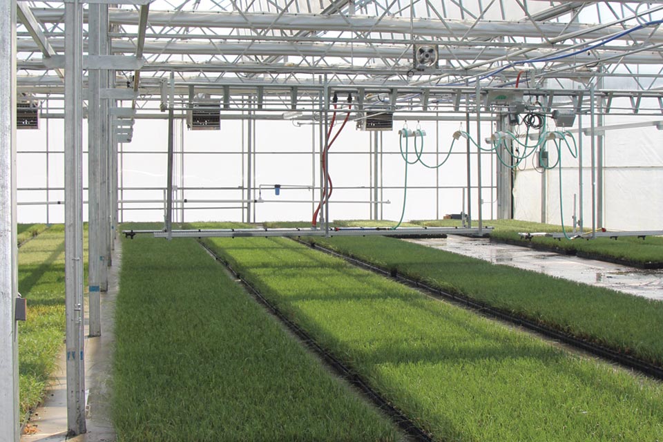 hoffman-new-greenhouse supply chain risk management
